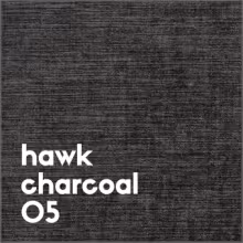 hawk charcoal 05